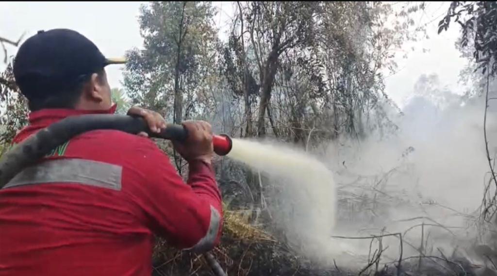 Tim Gabungan Berjibaku Padamkan Karhutla di Rimbo Panjang, Api Mulai Dekati Permukiman
