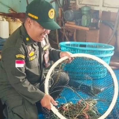 6.688 Komoditas Perikanan Natuna Tembus Pasar Hong Kong, BKHIT Kepri Pastikan Kualitas Terjaga