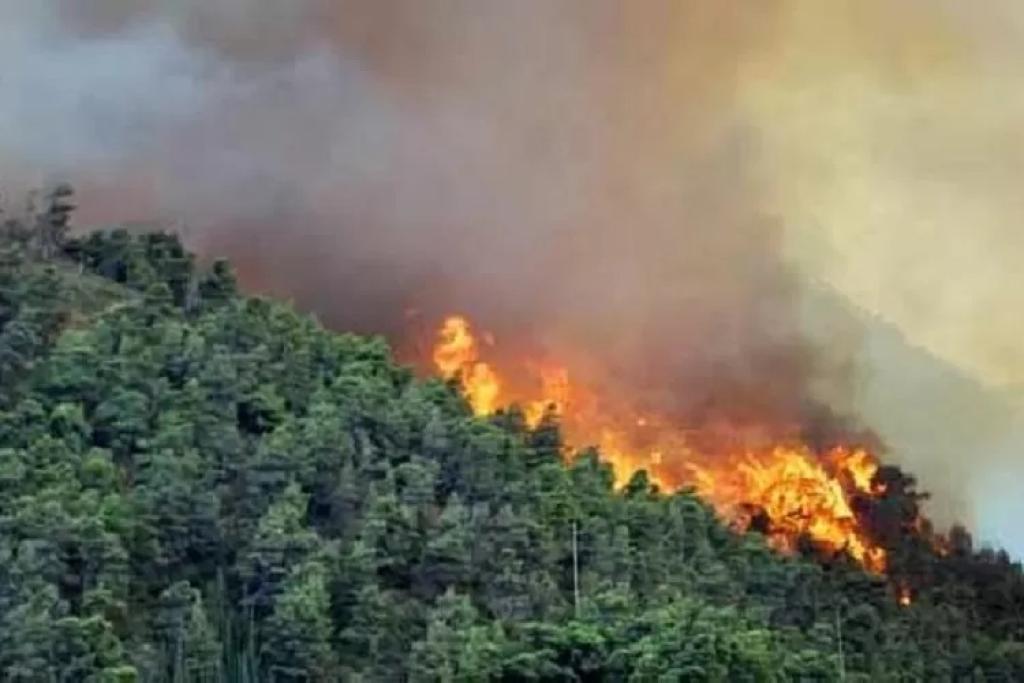 Hotspot di Sumatera Berangsur Naik, 1 Titik Panas Masih Menyala di Kampar Pagi ini