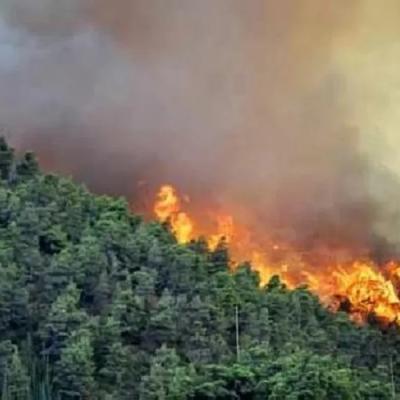 Hotspot di Sumatera Berangsur Naik, 1 Titik Panas Masih Menyala di Kampar Pagi ini