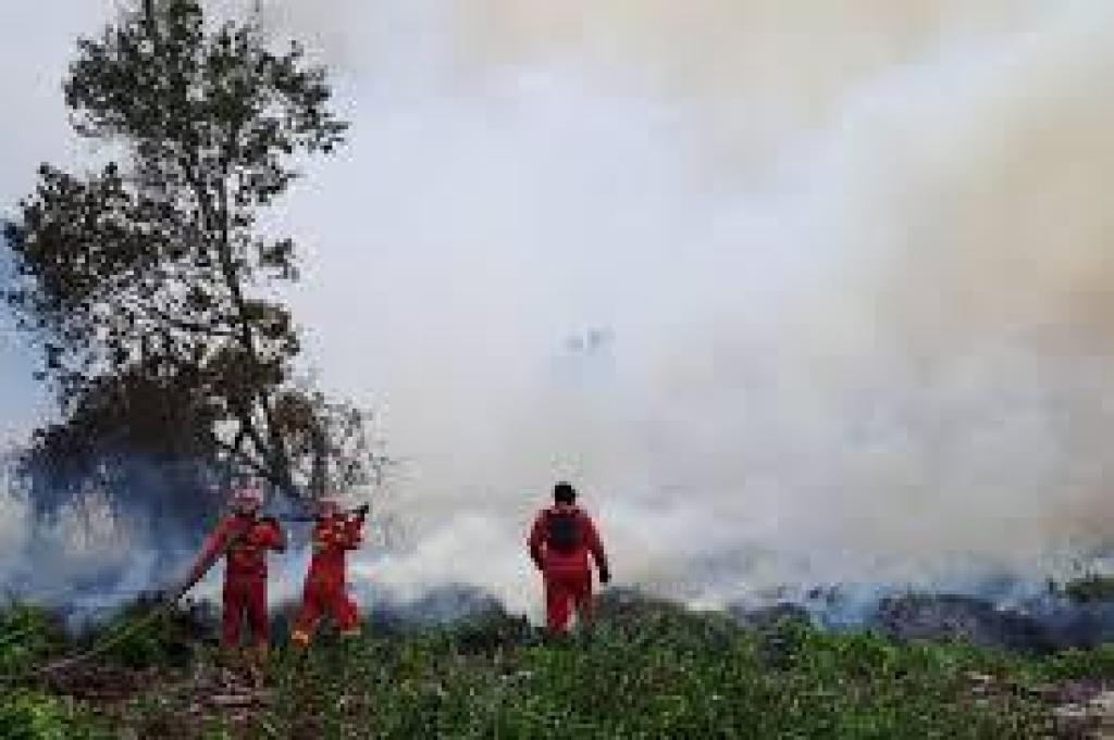 Tim Gabungan Masih Berusaha Tangani Empat Titik Karhutla di Riau