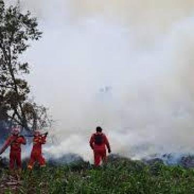 Kemenhut Perkuat Operasi Manggala Agni Untuk Tangani Karhutla di Sumatra