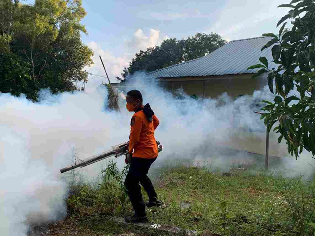 Kasus DBD Meningkat, Dinkes Bersama BPBD dan BKK Lakukan Fogging