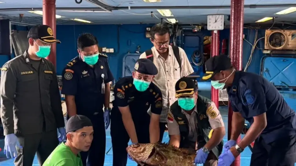 Sebanyak 10.362 Ekor Ikan dari Natuna Diekspor ke Hong Kong Setelah Lolos Karantina