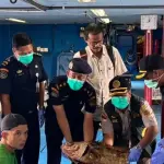 Sebanyak 10.362 Ekor Ikan dari Natuna Diekspor ke Hong Kong Setelah Lolos Karantina