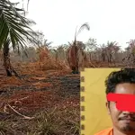 Kelola Kebun Sawit Ilegal di Kawasan Hutan, Warga Bengkalis Jadi Tersangka