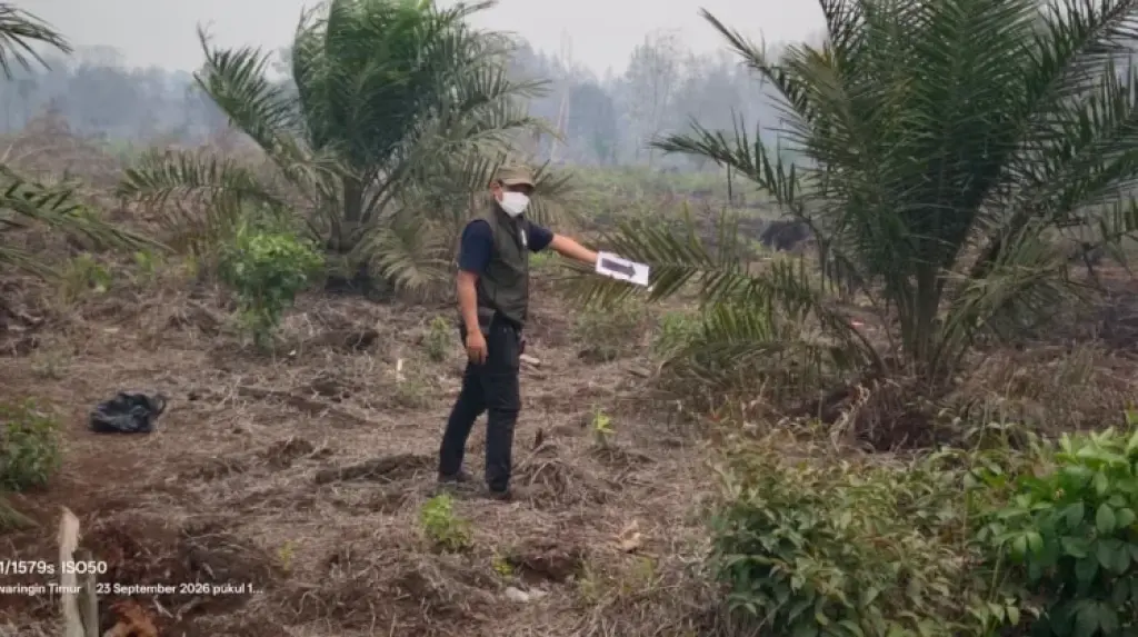 Kemenhut Tetapkan Dua Perusahaan Tersangka Kasus Karhutla, Salah Satunya Asal Singapura