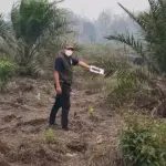 Kemenhut Tetapkan Dua Perusahaan Tersangka Kasus Karhutla, Salah Satunya Asal Singapura