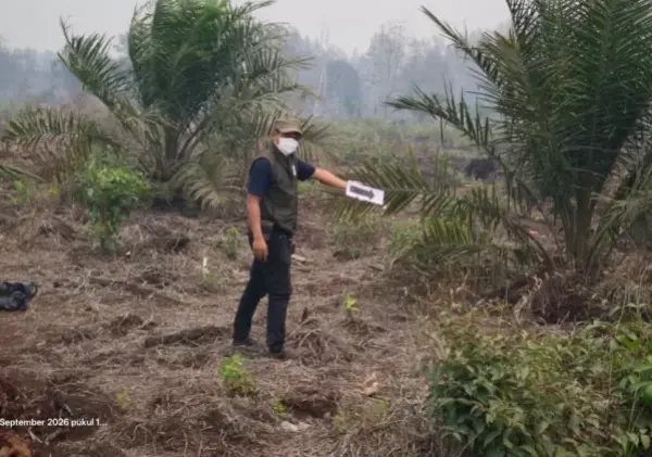Kemenhut Tetapkan Dua Perusahaan Tersangka Kasus Karhutla, Salah Satunya Asal Singapura