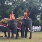 Tampil Mempesona di Upacara HUT ke-80 RI, Gajah Vera dan Jopi Bikin Kagum Penonton
