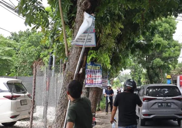 Ganggu Estetika Kota, Bapenda Pekanbaru Bongkar Iklan di Pohon