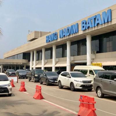 Catatkan Lonjakan, Bandara Hang Nadim Batam Layani 190 Ribu Lebih Penumpang Selama Nataru 2024/2025