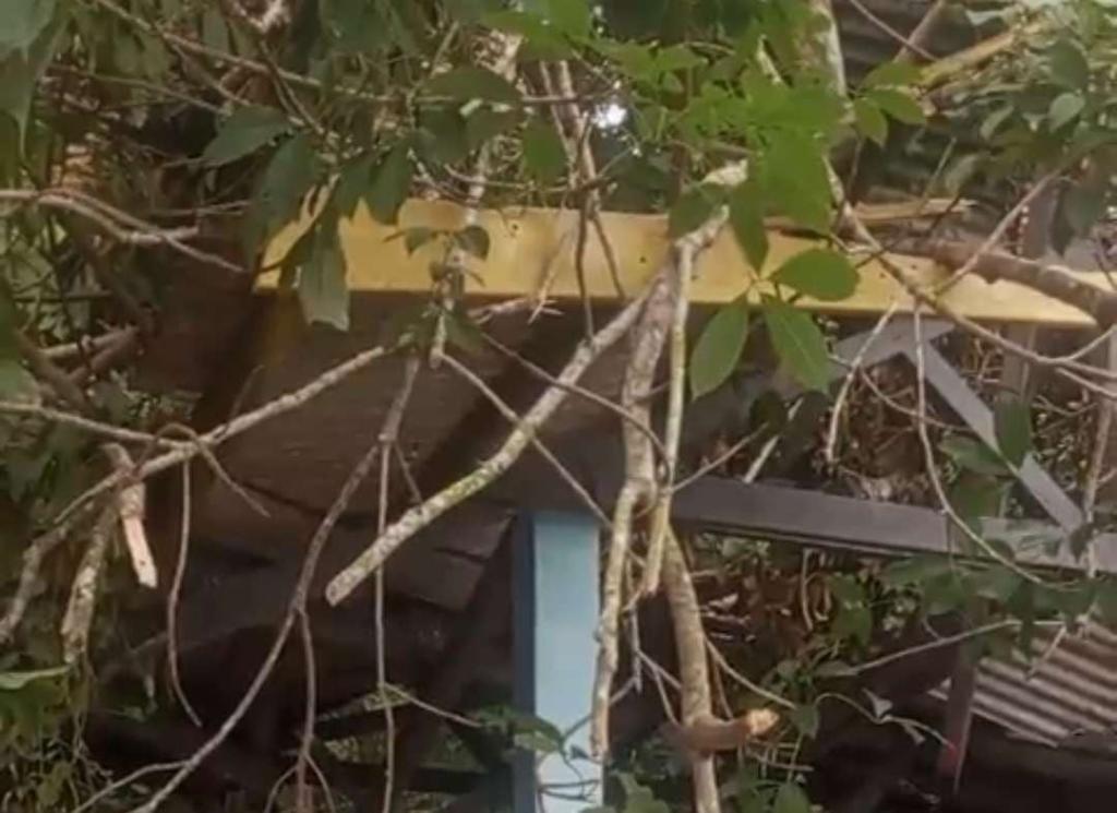 Atap Parkiran Pelabuhan Jagoh Ambruk Tertimpa Pohon, Warga Berharap Segera Diperbaiki