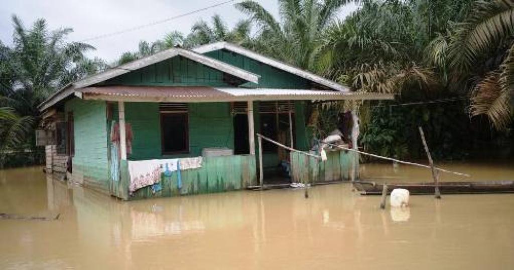 Banjir Besar Melanda Pelalawan, Pangkalan Kerinci dan Langgam Terdampak Parah