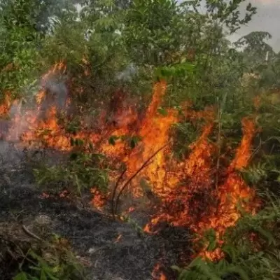 Awal Tahun 2025, 68 Hotspot Menyala di Sumatera