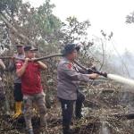 Bakar Lahan 500 Hektare di Pelalawan, Satu Tersangka Ditangkap Polisi