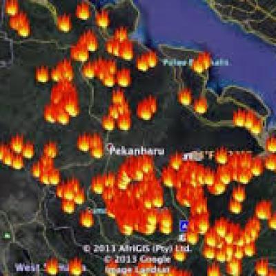 BMKG Catat 44 Titik Panas di Sumatera, Riau Sumbang 10 Hotspot