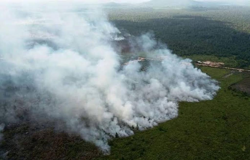 18 Titik Panas Terdeteksi di Sumatera, Riau Sumbang Satu Titik di Pelalawan