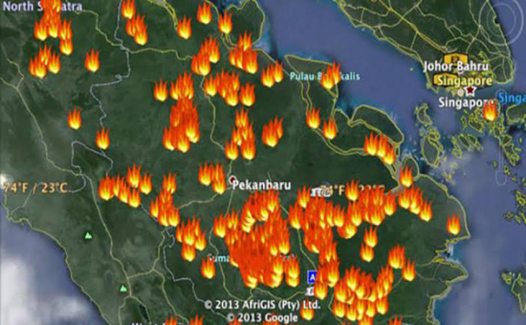 BMKG Catat 84 Titik Panas di Sumatera, Dumai Terdeteksi 3 Hotspot