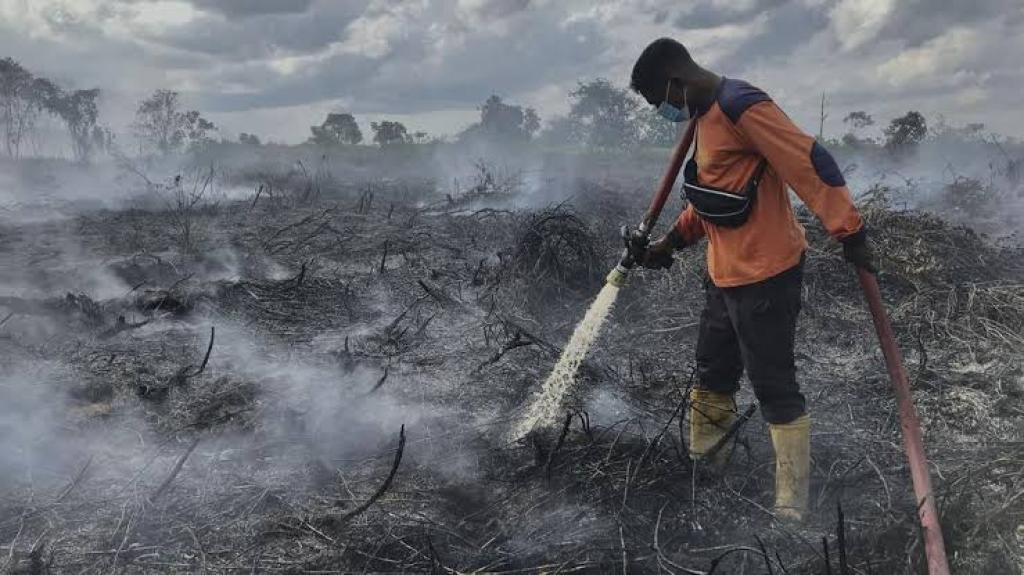Sepanjang 2024, Polda Riau Tangani 1.635 Hektare Lahan Terbakar