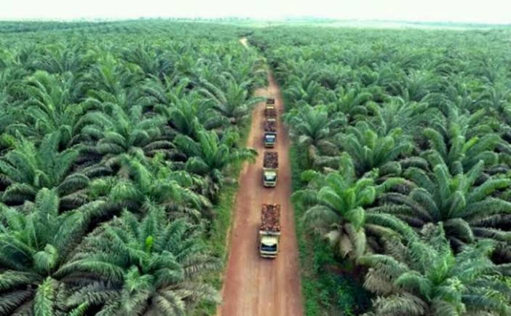 Dorong Ekonomi Hijau, Riau Diharapkan Tetap Stabil di Tengah Ketidakpastian Global