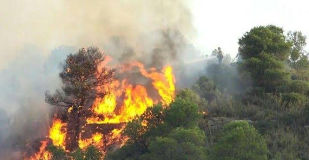 Titik Panas Meningkat di Sumatera, BMKG Stasiun Pekanbaru Deteksi 5 Hotspot