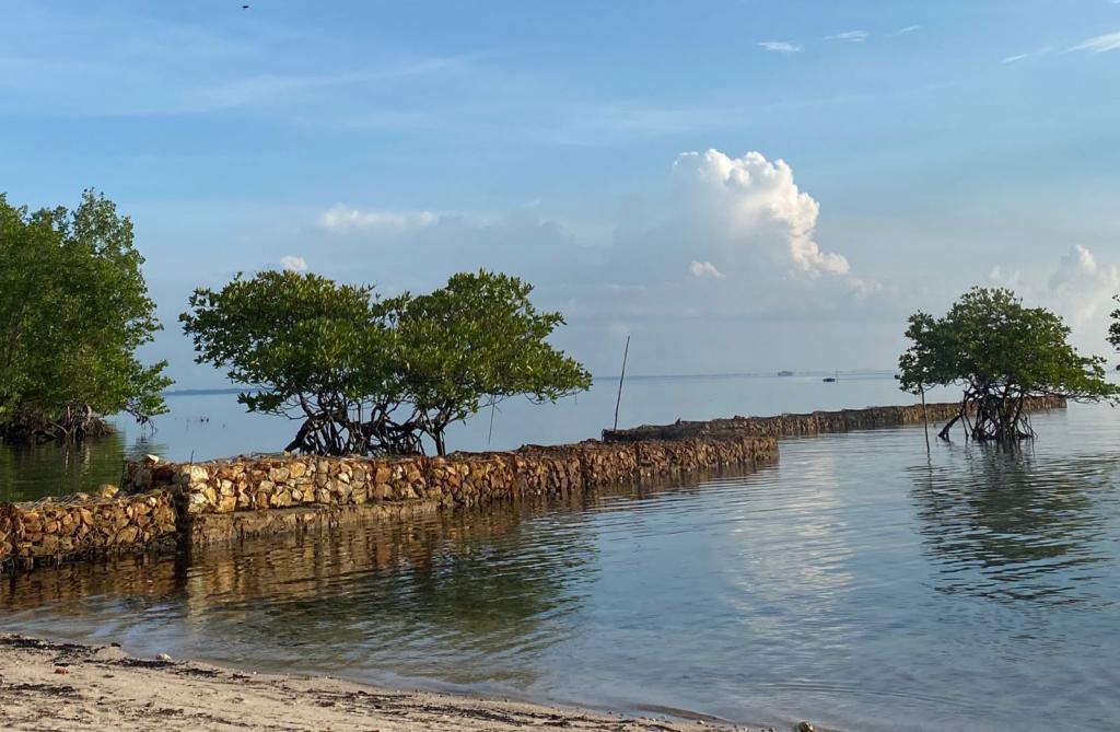 Bulan Purnama dan Perigee Berpotensi Picu Banjir Rob di Kepri hingga Akhir April