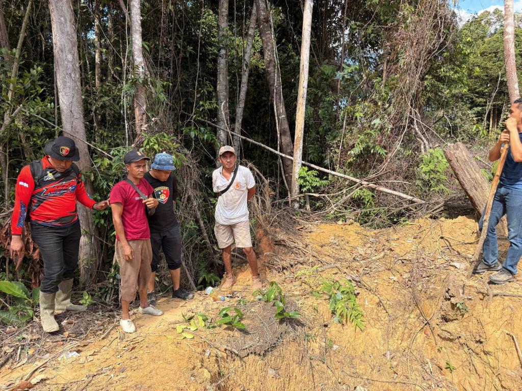 Polres Rohul Tangkap Pelaku Pembakaran Lahan di Hutan Produksi Terbatas (HPT) Tanjung Medan