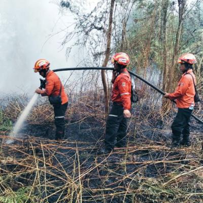 Tim Satgas Karhutla Siak dan PT Arara Abadi Berjibaku Padamkan Karhutla di Siak