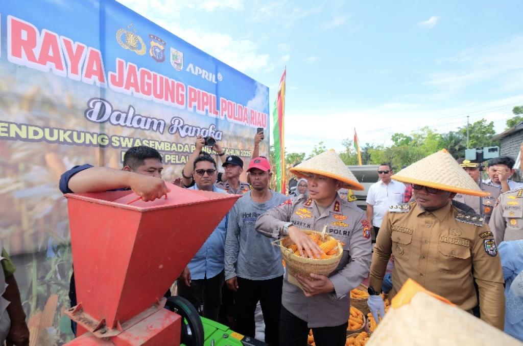 Bupati Pelalawan dan Kapolda Riau Panen 15 Ton Jagung