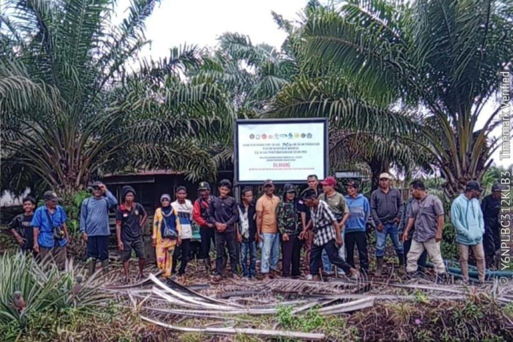 Satgas PKH Sita 749 Hektar Lahan Sawit, Ini Harapan Warga Tempatan