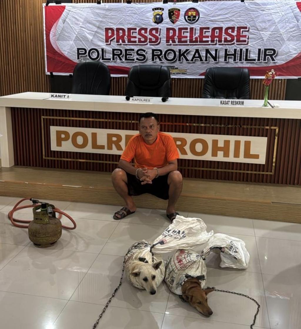 Polres Rohil Ringkus Pelaku Penganiayaan Hewan, Dua Ekor Anjing Berhasil Diselamatkan
