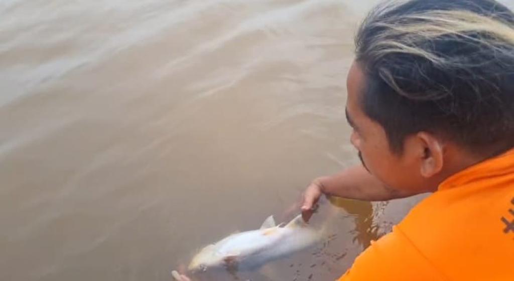Warga Minta Presiden Prabowo Perhatikan Fenomena Ikan Mati di Sungai Kampar