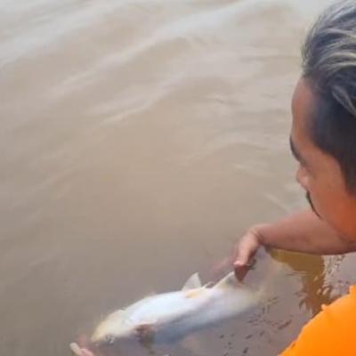 Warga Minta Presiden Prabowo Perhatikan Fenomena Ikan Mati di Sungai Kampar
