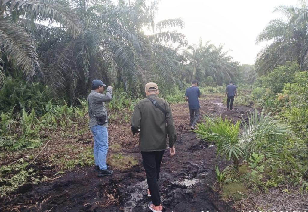 Warga Siak Berhadapan dengan Harimau Sumatera, BBKSDA Riau Turun Tangan