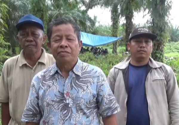 Sedikitnya 1.500 KK di Inhu Tolak Kebun Sawit Dikelola PT Agrinas Palma Nusantara