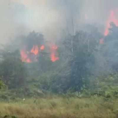 Lahan Kosong Terbakar, Asap Tebal Selimuti Wilayah Senggarang