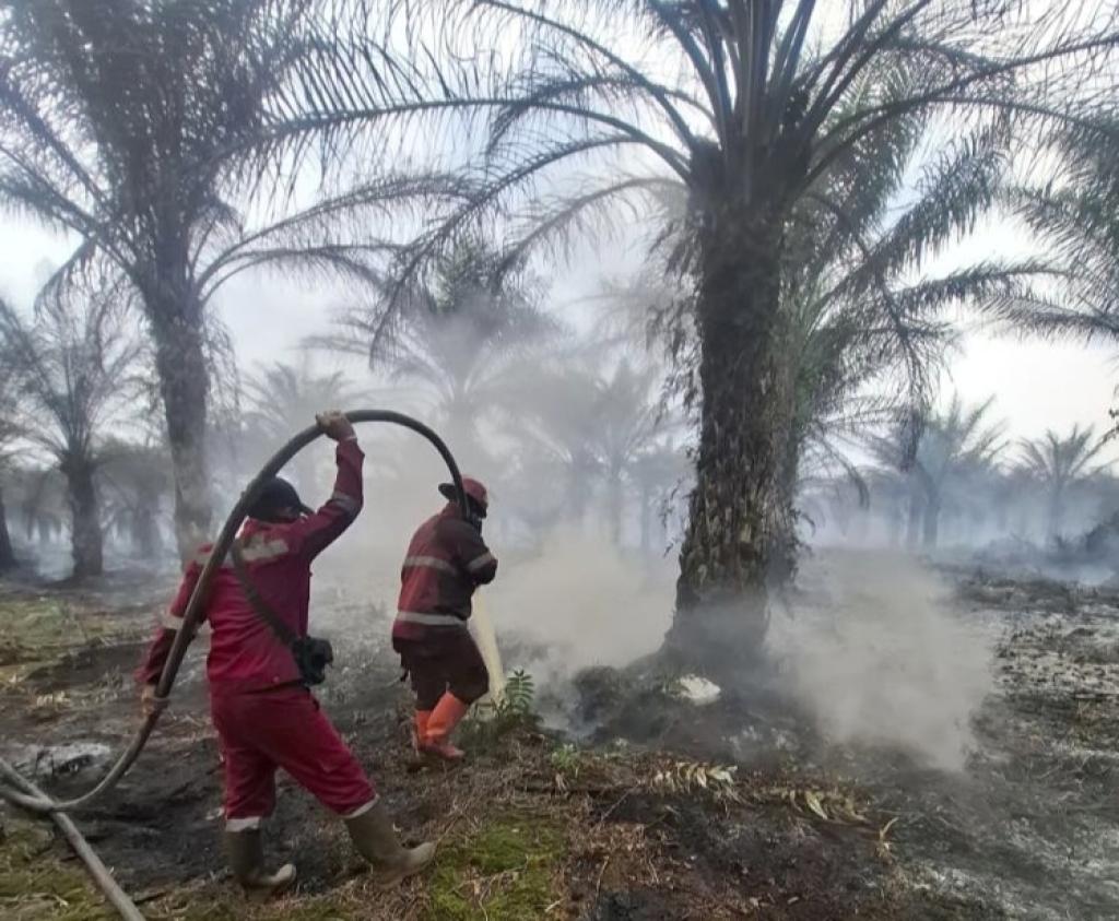 Tim Manggala Agni Riau Berjibaku Padamkan Karhutla di 12 Titik