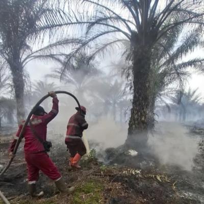 Tim Manggala Agni Riau Berjibaku Padamkan Karhutla di 12 Titik