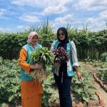 Dari Lahan Mati Jadi Apotek Hidup: Kisah Murni Menjaga Warisan Kesehatan Dunia di Duri