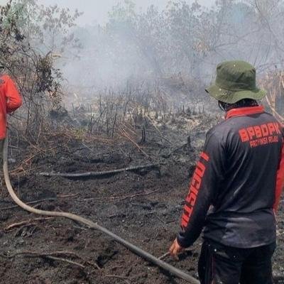 Tim Gabungan Masih Berjibaku Padamkan 5 Titik Karhutla di Tiga Kabupaten di Riau