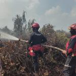 PT Arara Abadi Kerahkan Helikopter dan 100 Personel Bantu Padamkan Karhutla di Luar Wilayah Konsesi