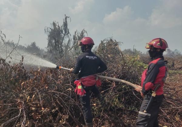 PT Arara Abadi Kerahkan Helikopter dan 100 Personel Bantu Padamkan Karhutla di Luar Wilayah Konsesi