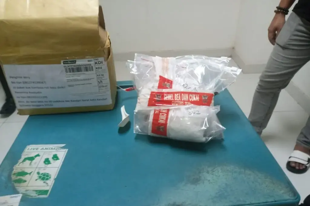 Hendak Dikirim ke Jakarta, Petugas Bandara Tanjungpinang Gagalkan Pengiriman Paket Sabu