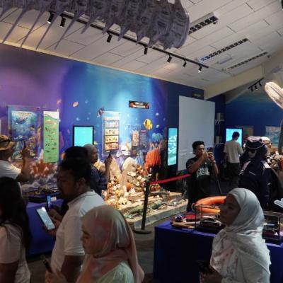 Dari Galeri ke Pulau Eksotis, Menyelami Pesona Laut Mersing Sejak Langkah Pertama