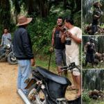 Laporan Polisi Sudah Masuk, Dugaan Penjarahan TBS di Kebun Agrinas Belum Berhenti