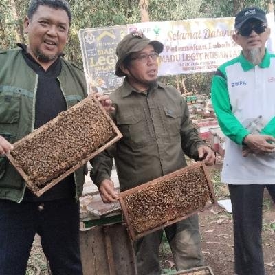 Menjaga Hutan, Memanen Madu: Harmoni Peternak Lebah di HTI Akasia Arara Abadi