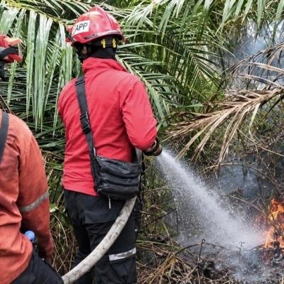 Kolaborasi PT Arara Abadi dan Tim Gabungan Padamkan Karhutla di Mempura Siak