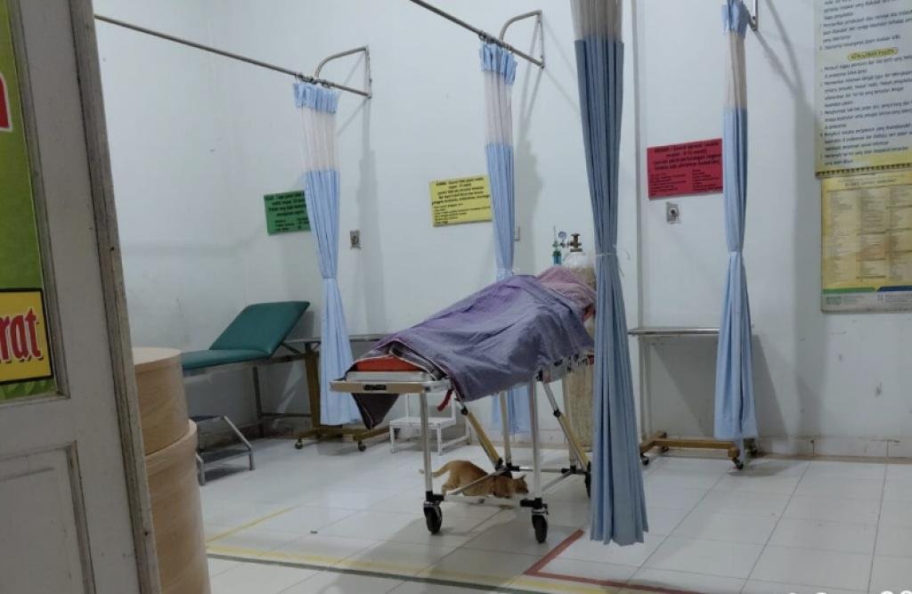 Petani 67 Tahun Ditemukan Meninggal di Kebun Sawit Kuansing