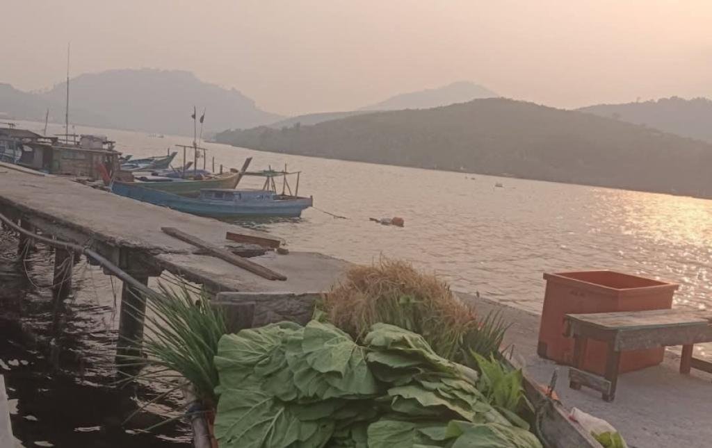 Pulau Bintan Kembali Diselimuti Kabut Asap, BMKG Imbau Warga Waspada